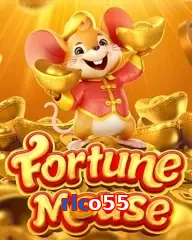 rico55